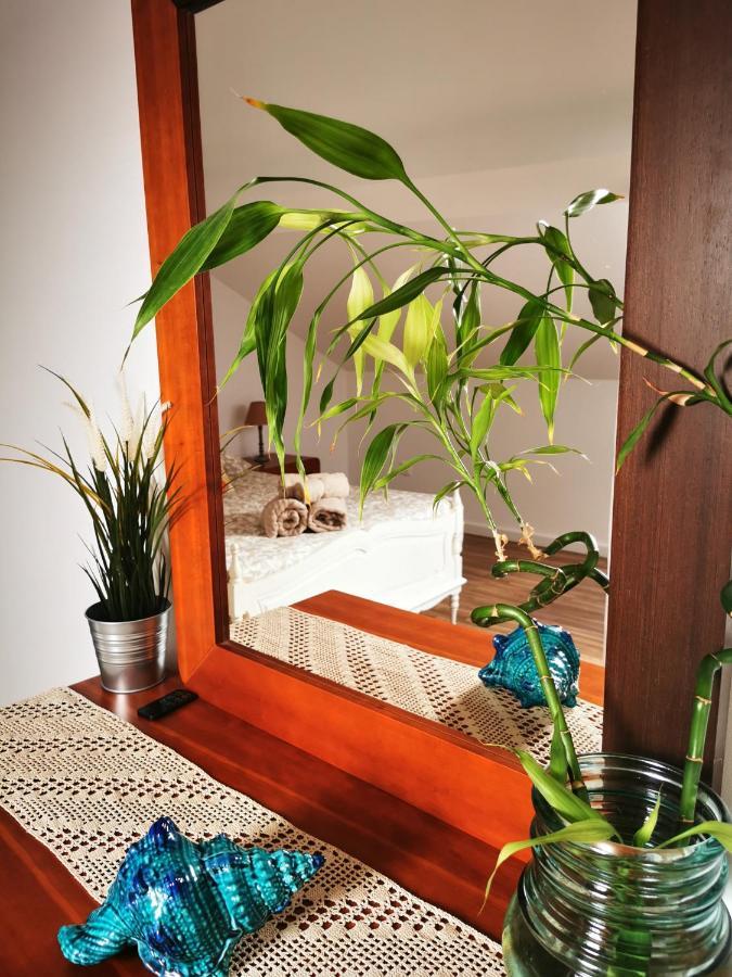 Charming Portuguese Style Apartment, For Rent "Vida A Portuguesa", "Amendoa Or Limao" Alojamento Local Portimão Dış mekan fotoğraf